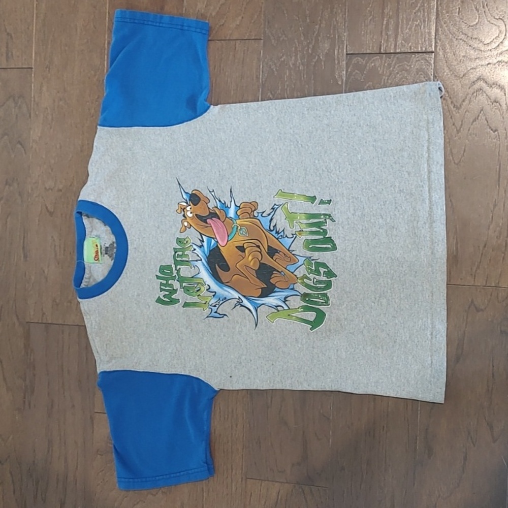Scooby-Doo Shirt•Y2K•"Who Let The Dogs Out"•Youth 12/14 *Holes